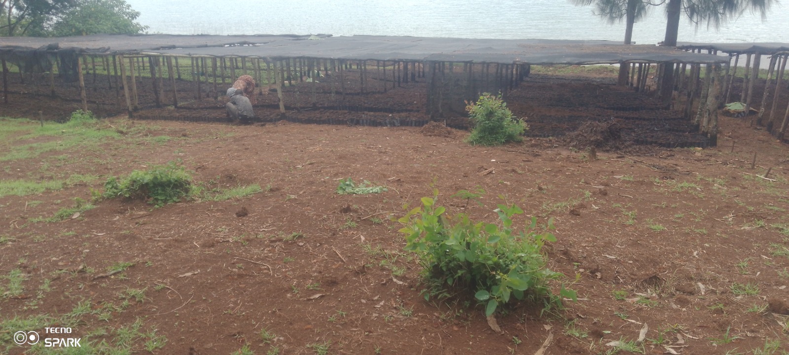 WhatsApp Image 2026-01-08 at 16.25.51 (1)