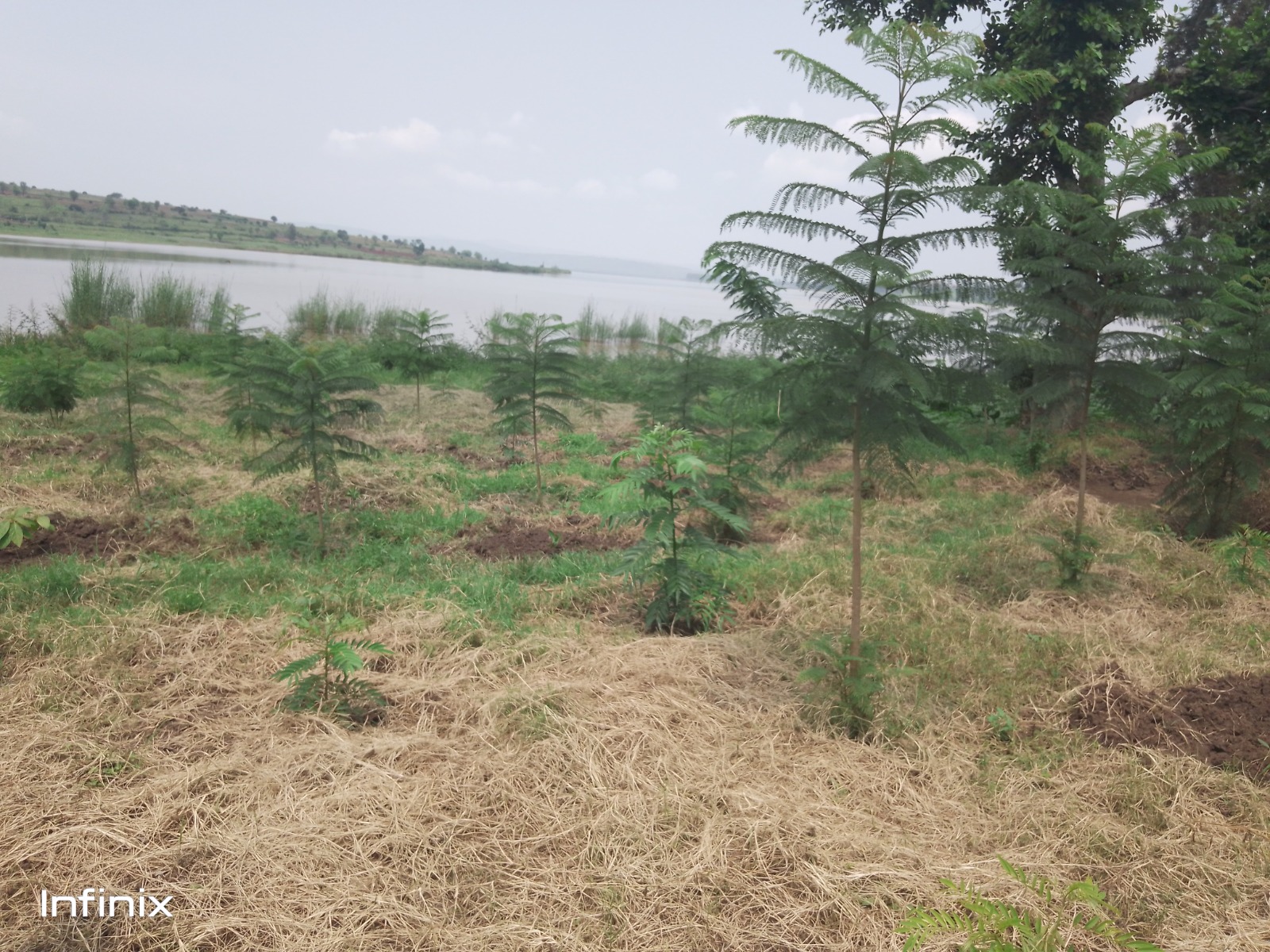 WhatsApp Image 2026-01-08 at 16.25.51